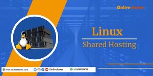 Get the best hosting service for your site with Linux Shared Hosting