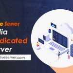 Get Many Unique Features with Onlive Server's India Dedicated Server